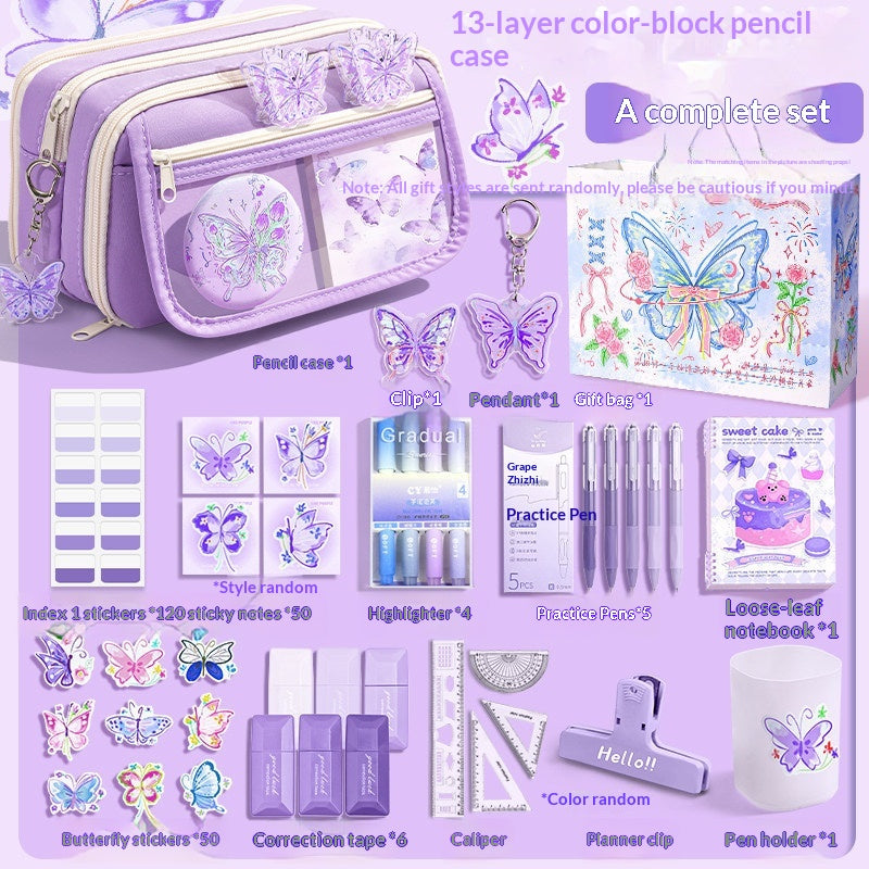 Ensemble de boîtier en crayon violet papillon de grande capacité