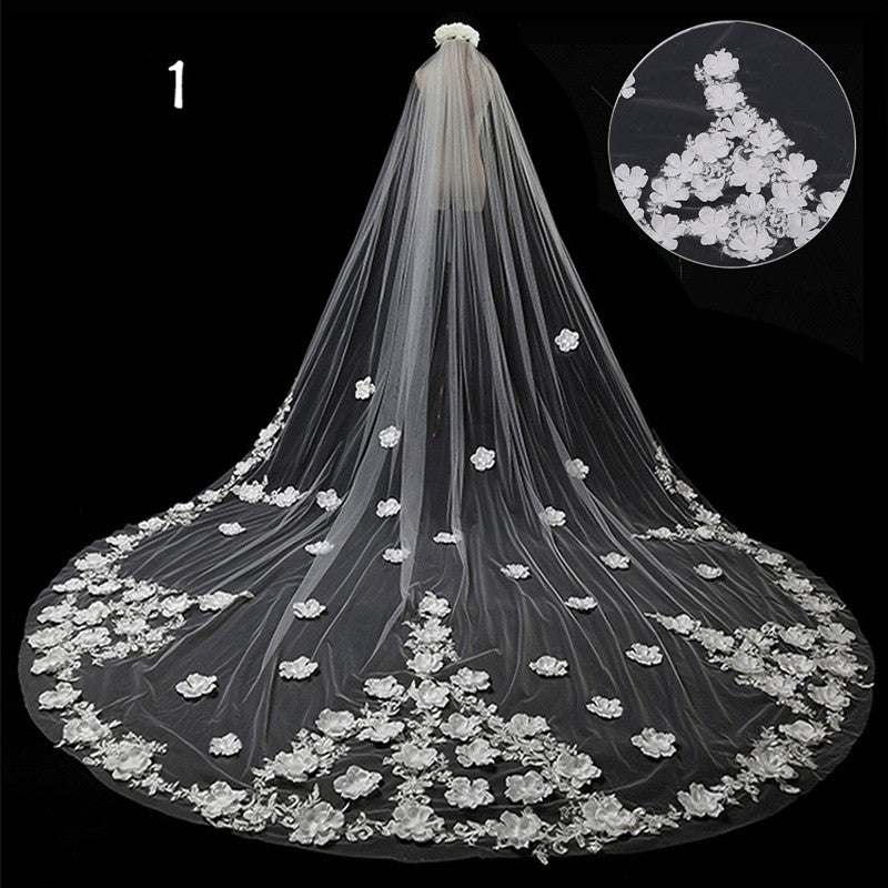 Mariée Mariage Maître Veil Long Tail