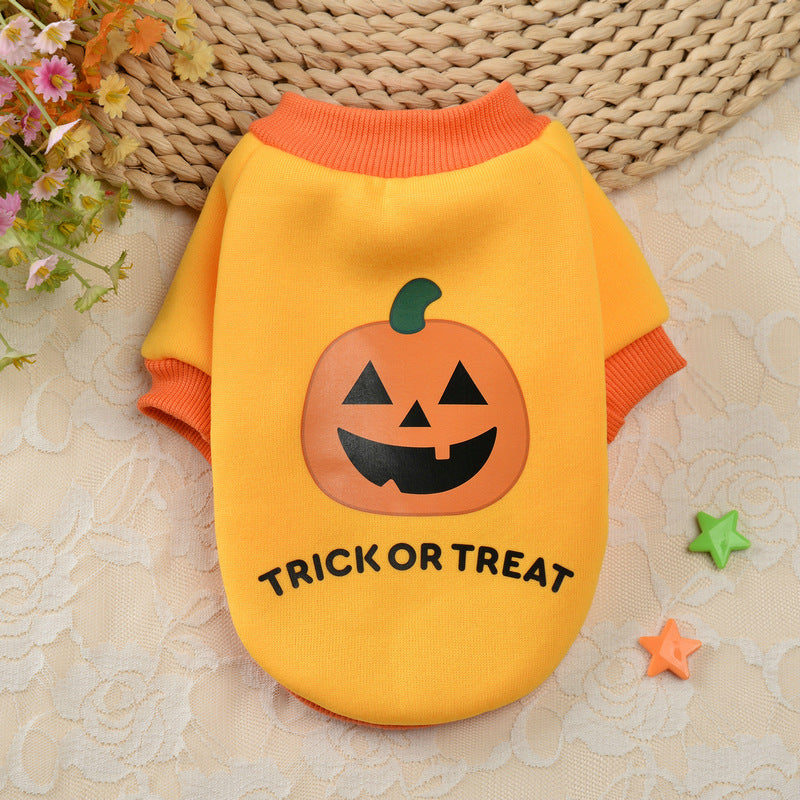 Halloween Pumpkin Crâne animal Teddy Petit chien Automne Chandail d'hiver