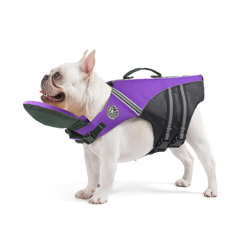 Maillot de bain professionnel pour animaux de compagnie