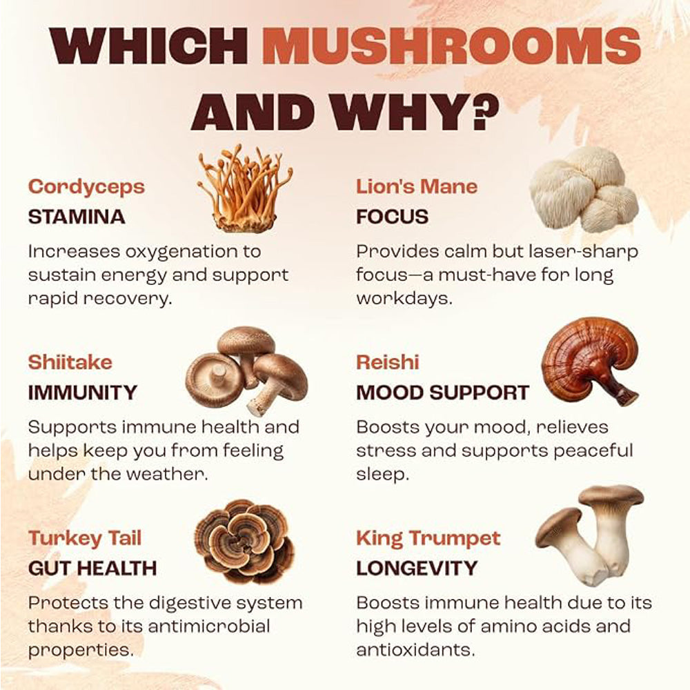 Café instantané de champignons biologiques
