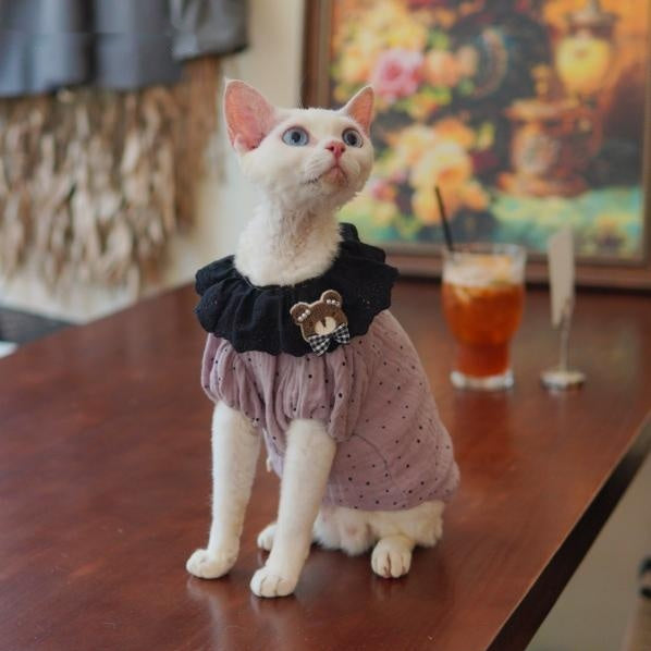 Sphynx Chat Été Violette robe de coton à point de Polka avec collier de dentelle noire et ours en peluche Acce