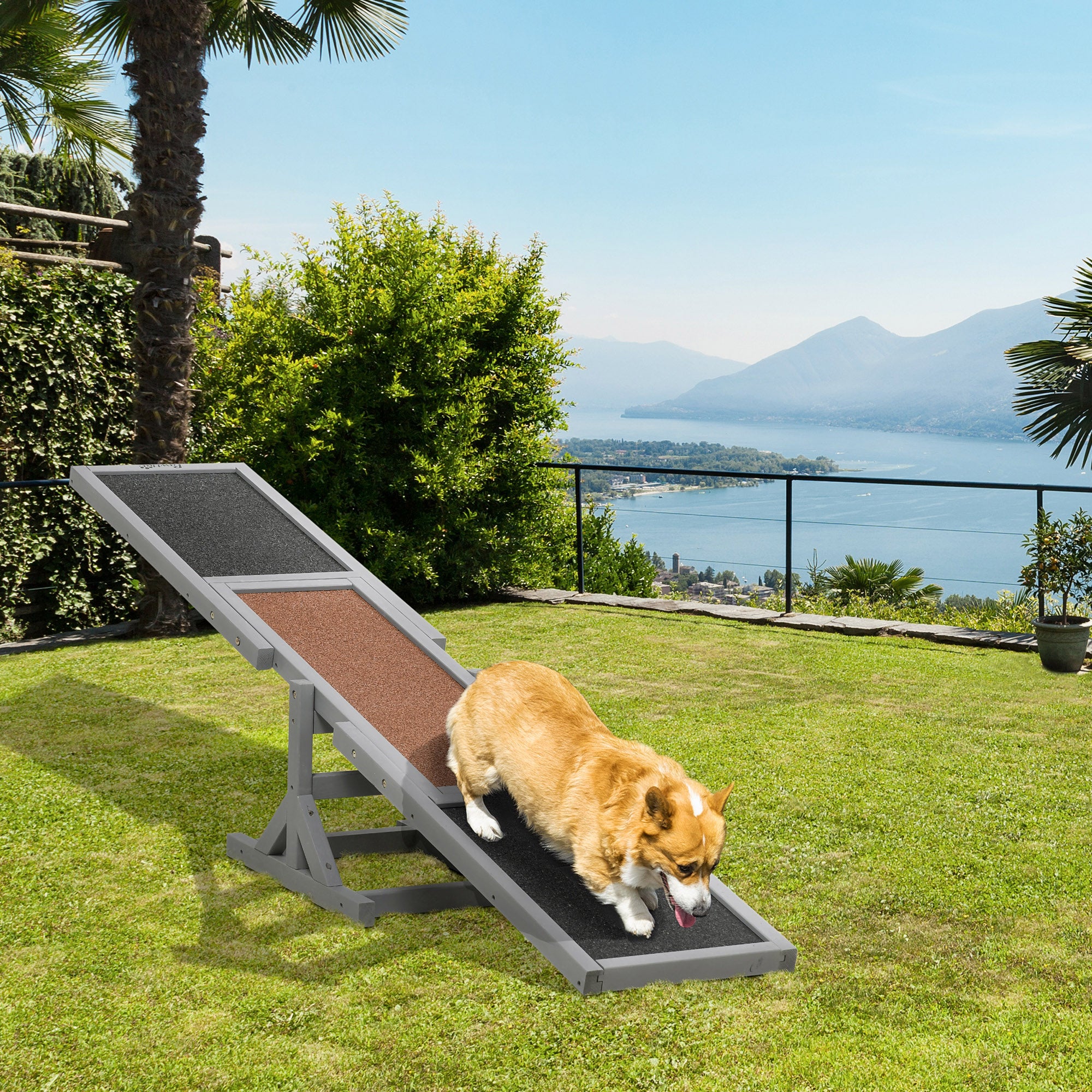 Wooden Dog Agility Seesaw pour l'entraînement et l'exercice