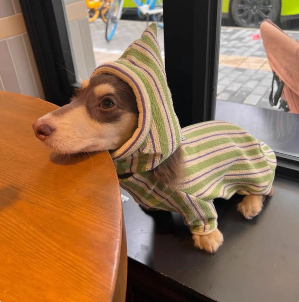 Chien de chien Automne et Veste d'hiver garder chaud nouveau