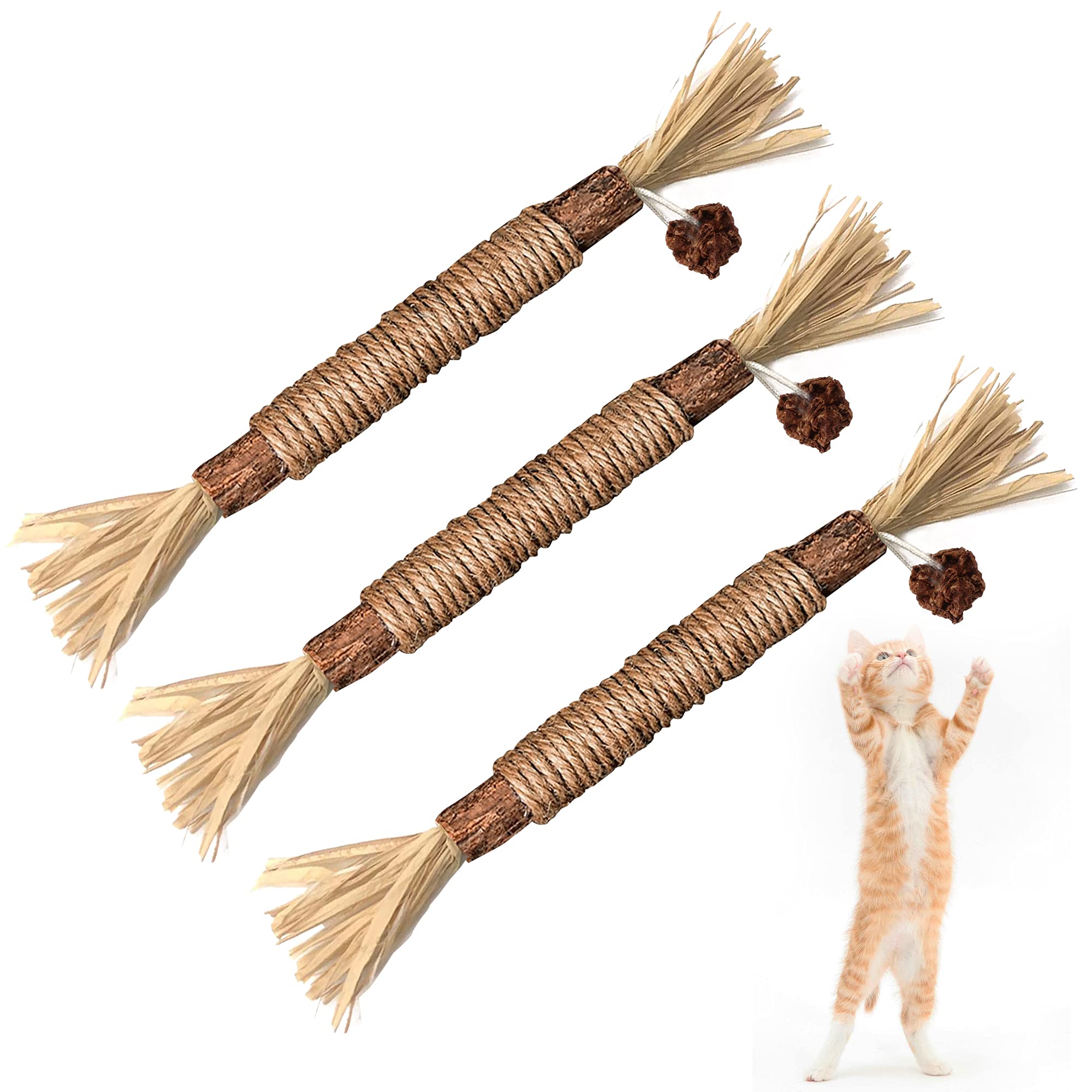 Silvervine Sticks Cat Chew Jouets pour les chats intérieurs soins dentaires nettoyage des dents