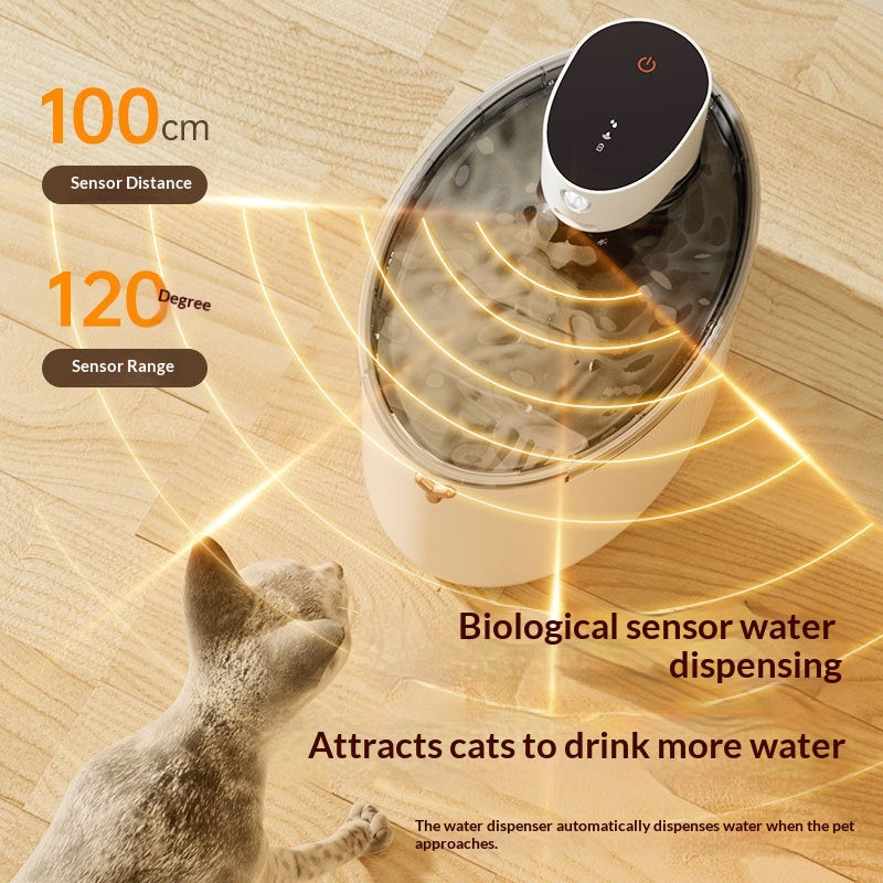 Fontaine d'eau pour animaux intelligents