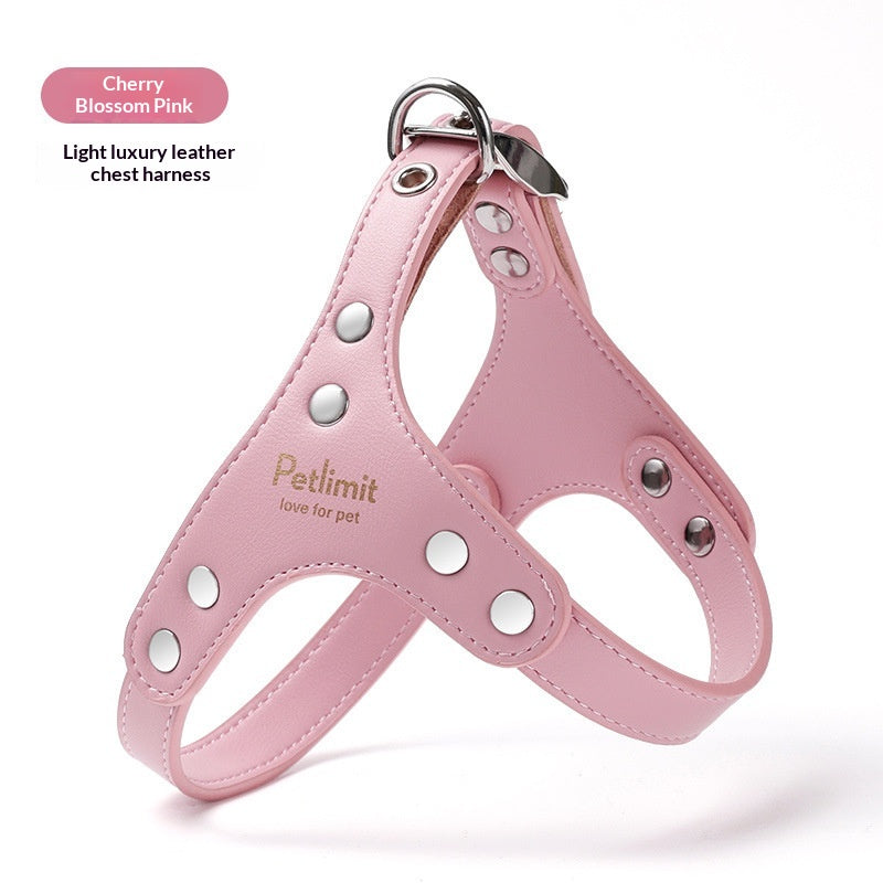 Harnais en cuir et laisse pour chiots pour petits chiens