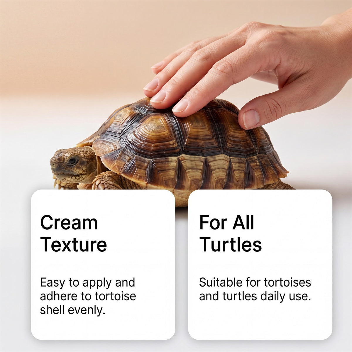 Crème hydratante et hydratante pour la tortue d'anguille Crème hydratante et douce pour la tortue d'animal S