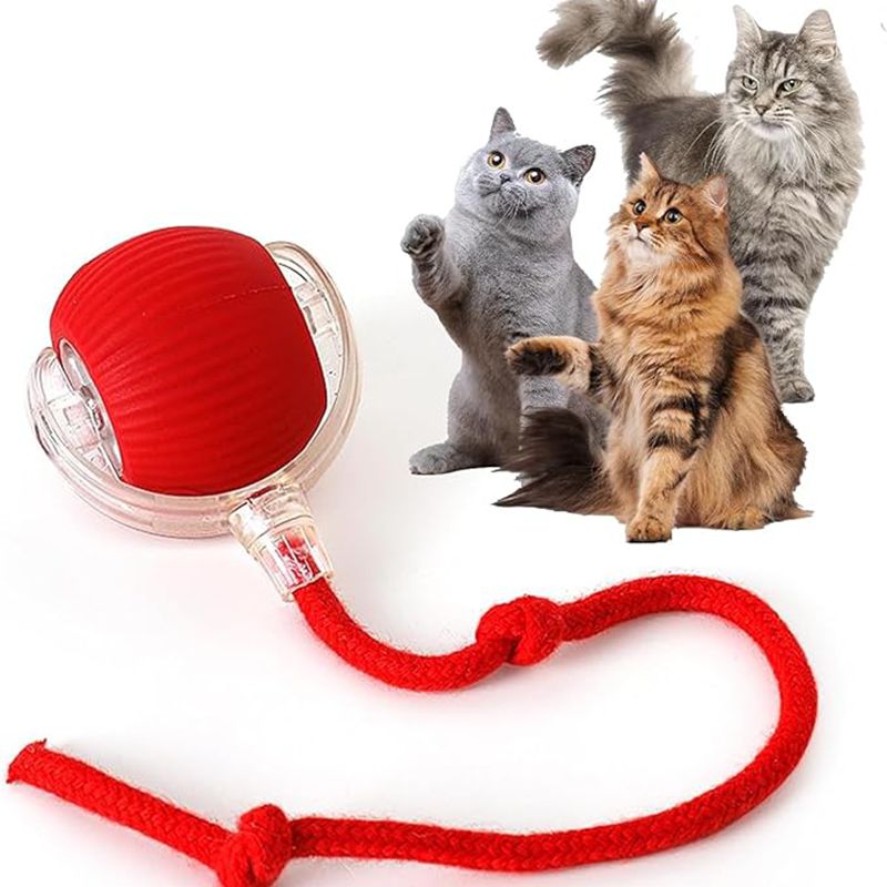 Chat Interactive Ball Toys Automatic Rolling Ball pour Kitten Smart Pet Electri rechargeable