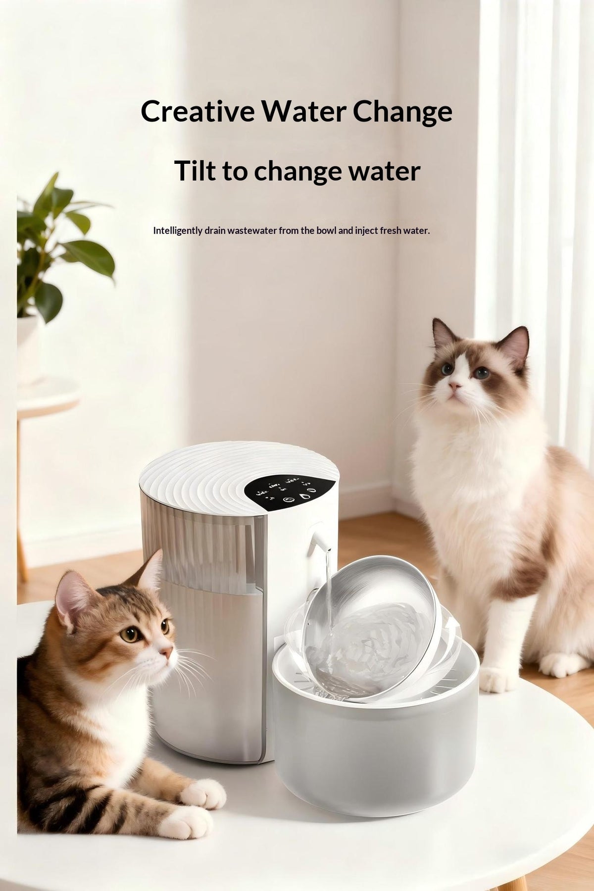 Smart Constante-Température 3L Fontaine d'eau pour animaux avec séparation de l'eau propre et rinçage Mec