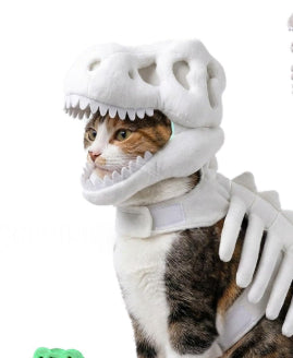 Dinosaure Skeleton Costume de chat Halloween Chat Hoodie