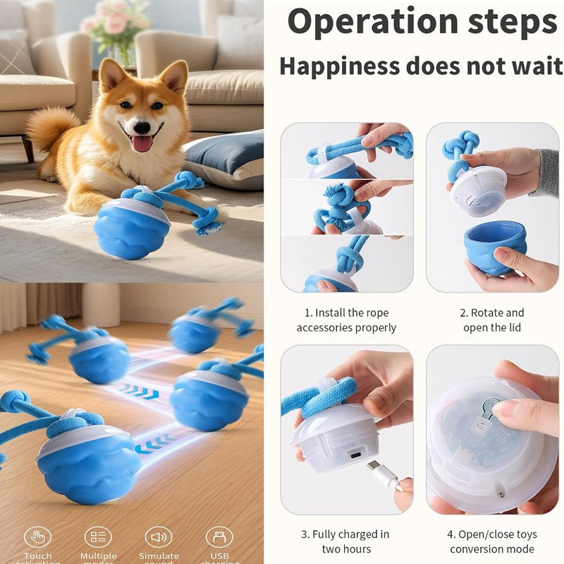 La Chase Buddy Dog Boredom Jouet stimulant Smart Pet Puppy Ball avec des ropes