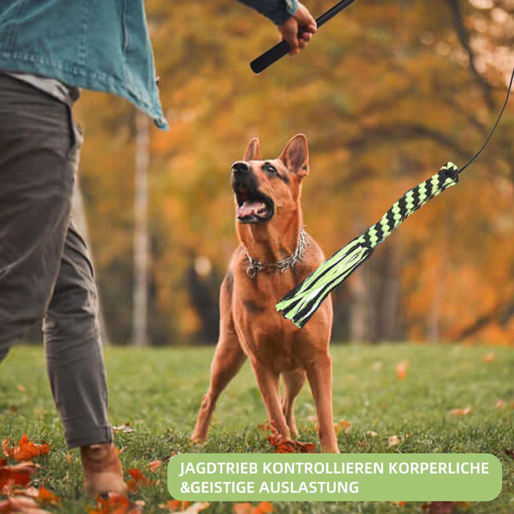 Bâton télescopique chien Teasing Rod Toy Pet