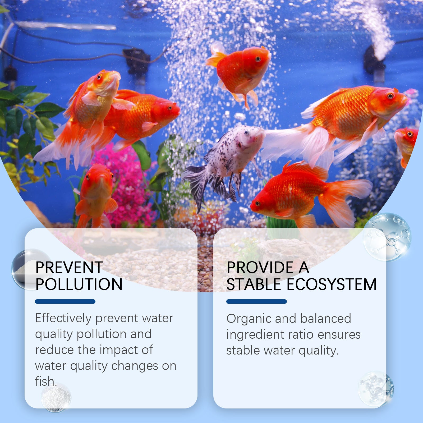Eggbong réservoir de poisson Purificateur d'eau Algae Enlèvement de poudre réservoir de poisson Nettoyage élimine la mousse et
