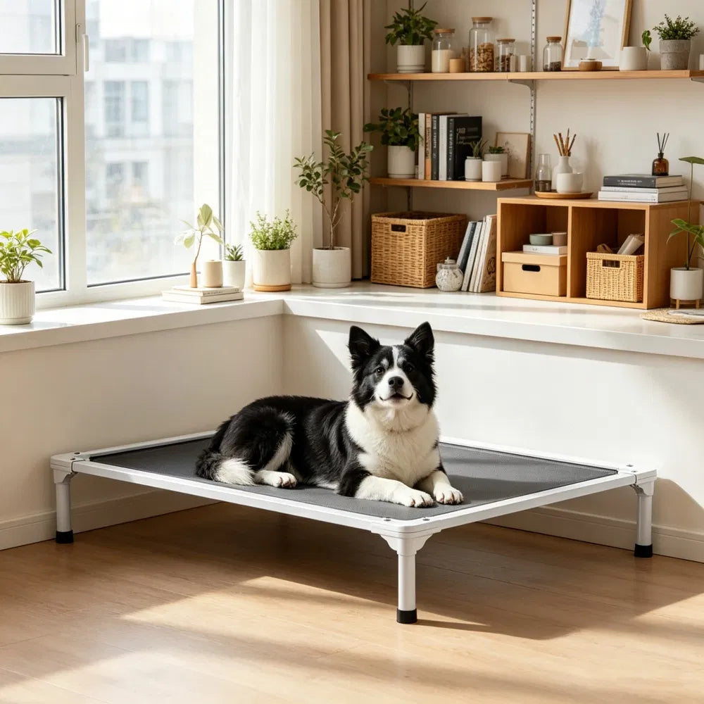 Lit pour chien élevé pour chambre à coucher