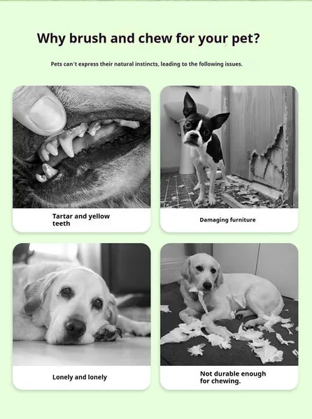 DOG Chew jouets pour le nettoyage des dents