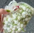 Sachet de voiture blanc Jasmine-1