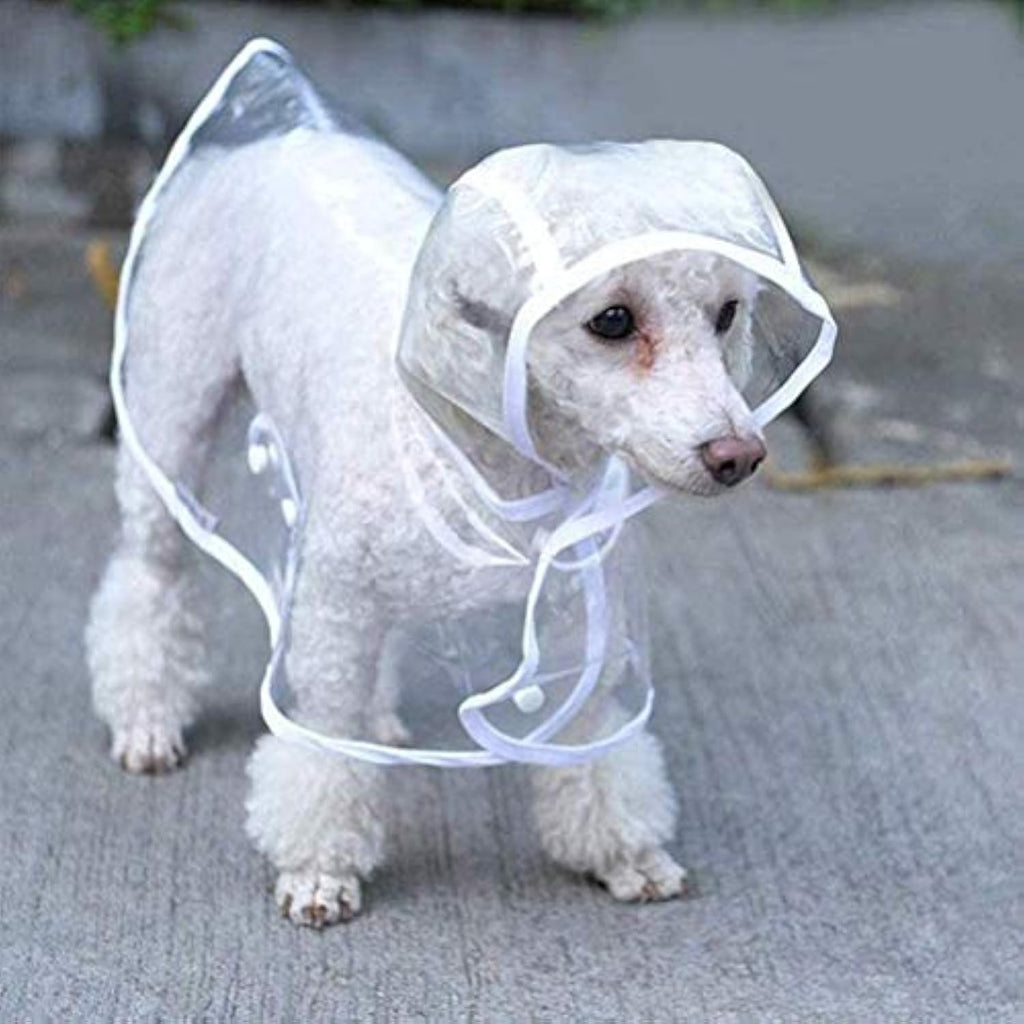 Transparent imperméable pour petits chiens moyens Vêtements imperméables pour animaux de compagnie avec veste de pluie à capuchon