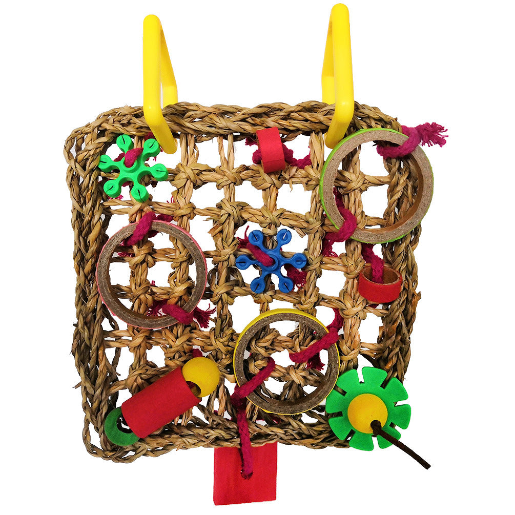 Bite de perroquet couleur construction blocs jouet
