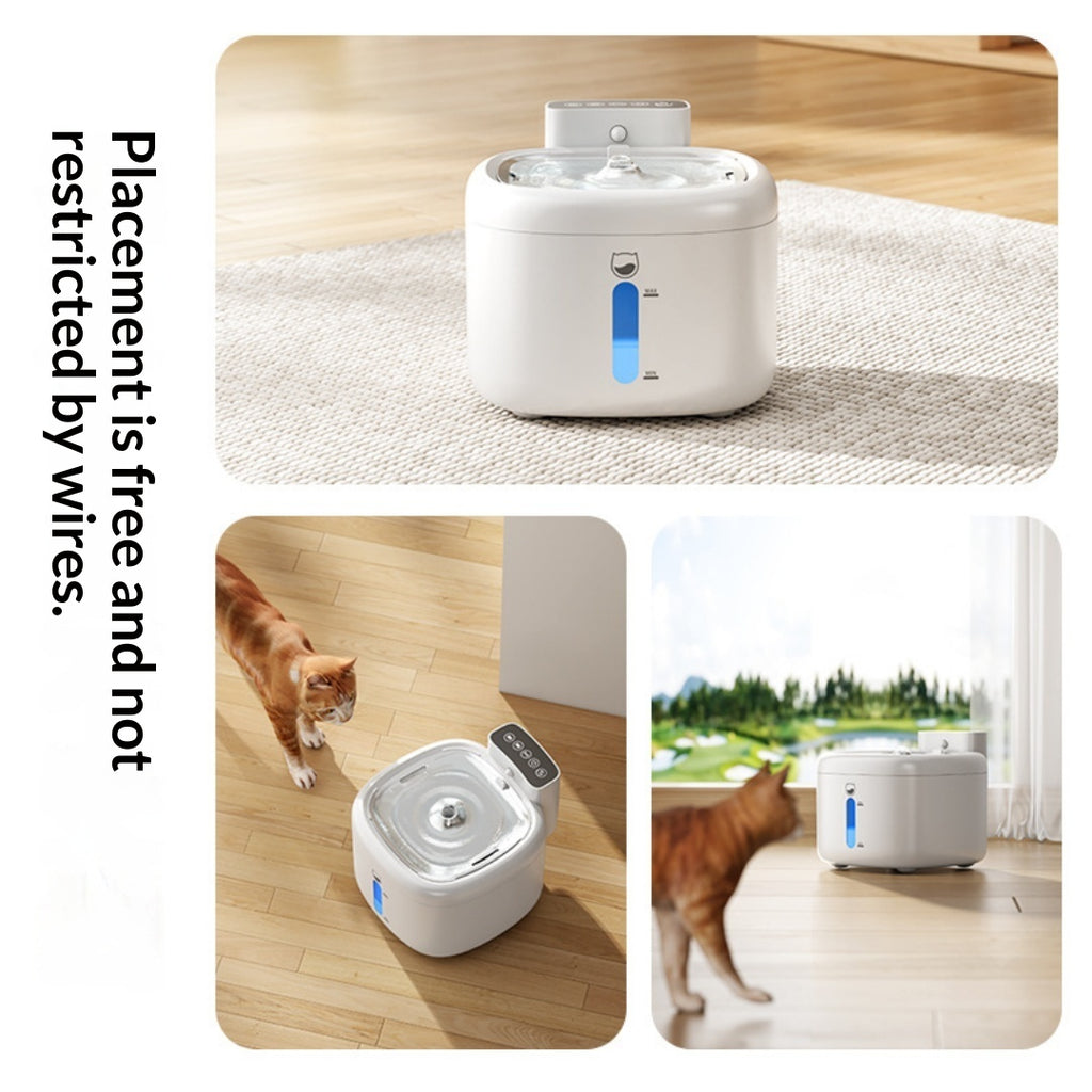 Fontaine d'eau pour animaux de compagnie filtrée sans fil intelligente
