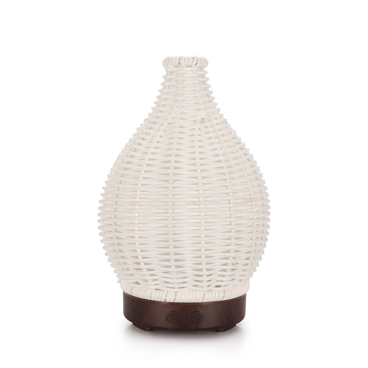Micro-atomiseur ultrasonique 100ML Petit diffuseur d'arôme