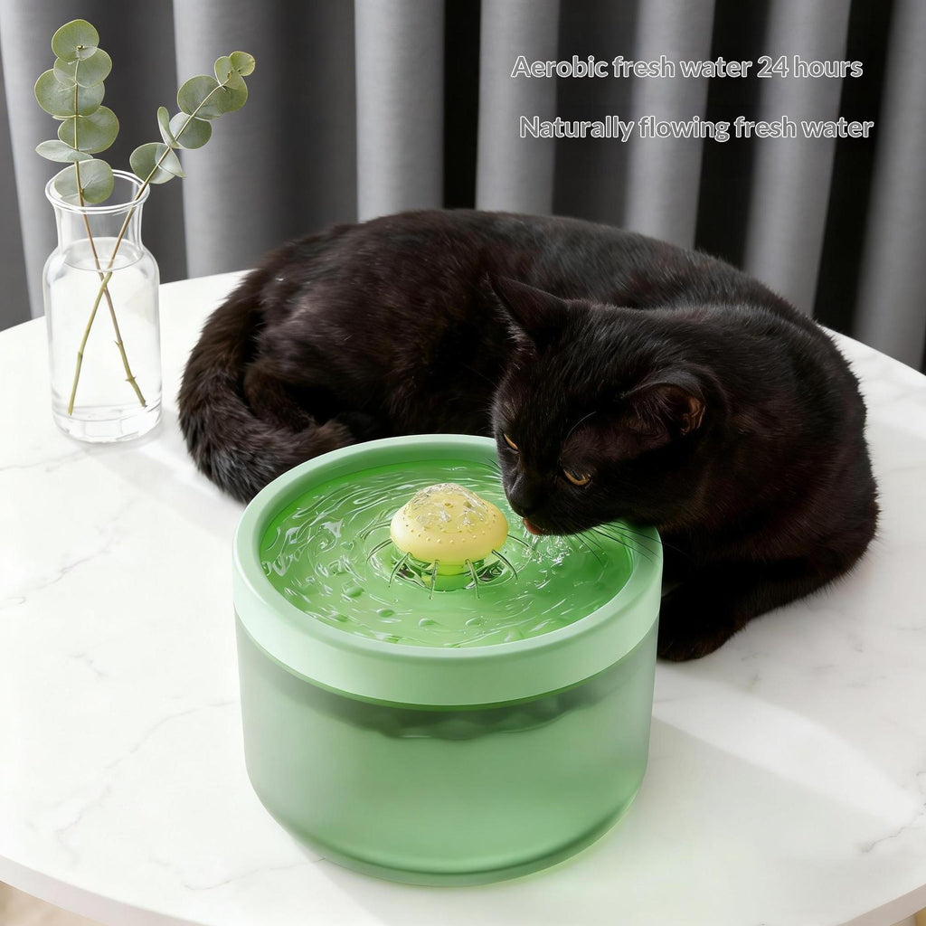 Filtrage automatique Fontaine d'eau pour animaux de compagnie circulant