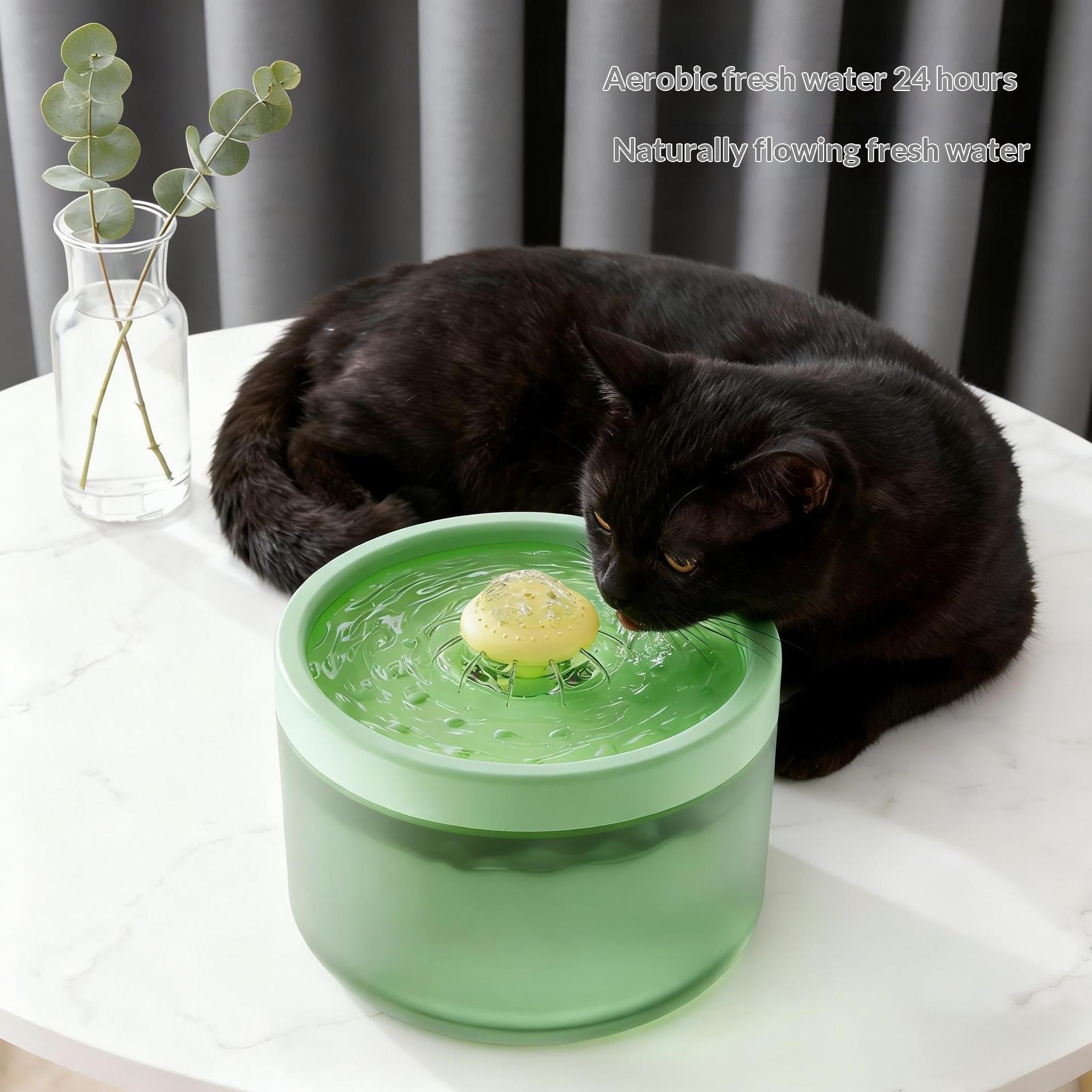 Filtrage automatique Fontaine d'eau pour animaux de compagnie circulant