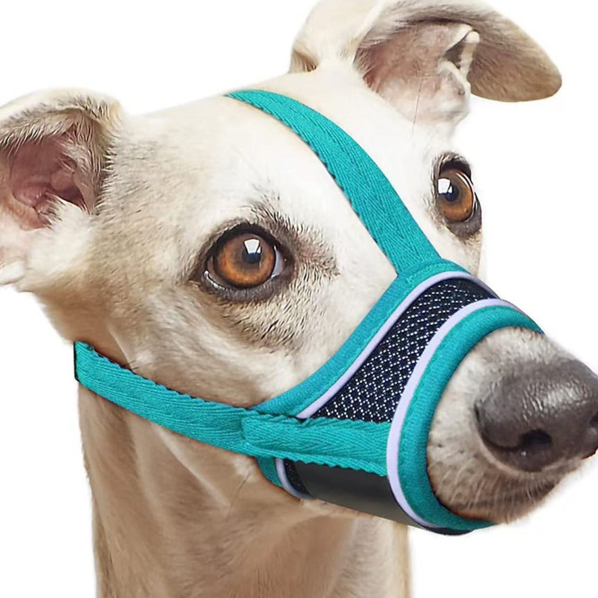 Couverture respirante pour chien de Mesh