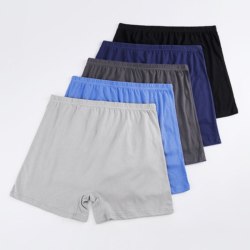 Sous-vêtements en coton taille High Waist Plus