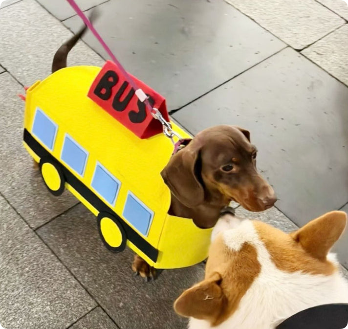 Vêtements pour animaux de compagnie
