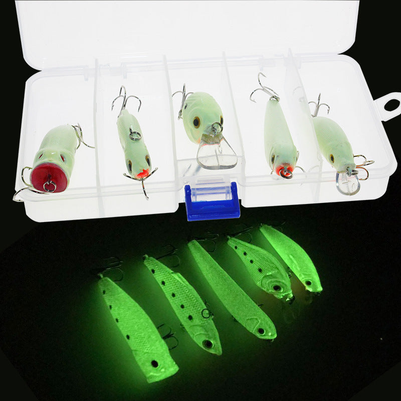 Simulation fluorescente en 3D