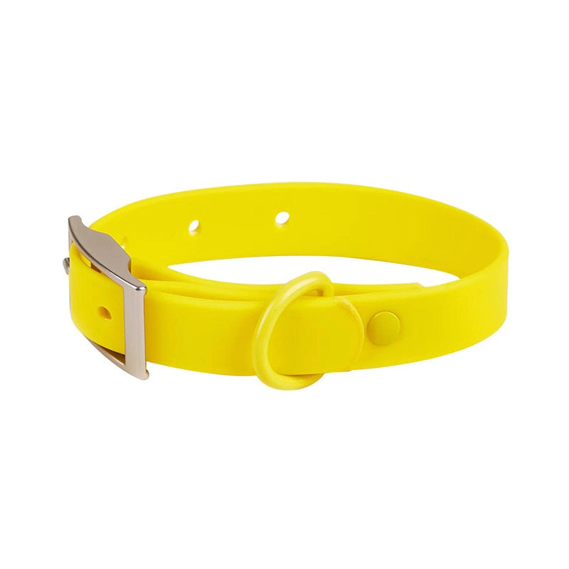 Collier de chien imperméable anti-strangulation Collier de chat