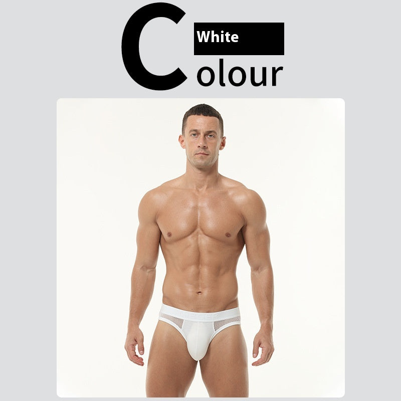 Sexy hommes slips hauts élastique Mesh bas taille culottes