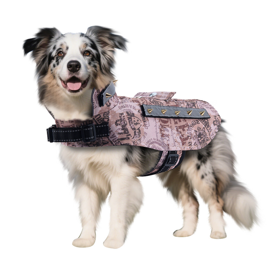 Amazon Pet Bite-Proof Suit Équipement de protection des chiens d'extérieur