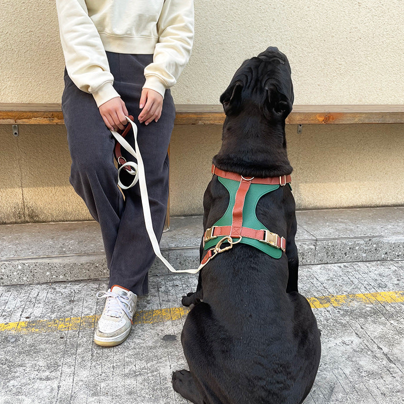 Harnais et laisse en cuir de luxe pour chien