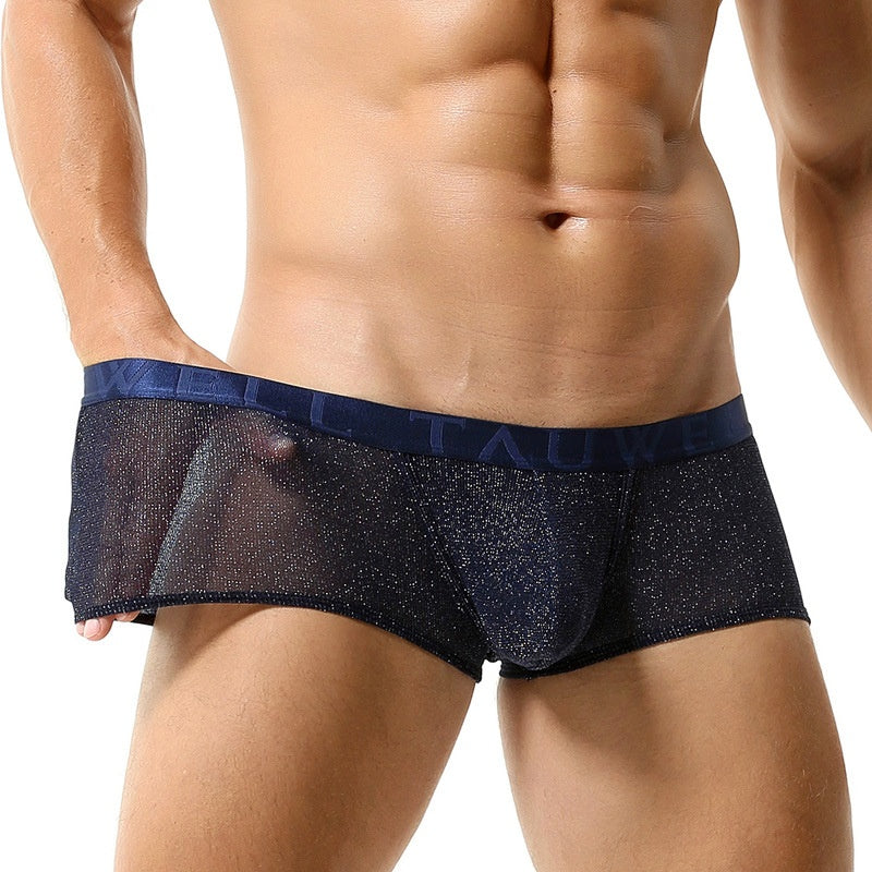 Sous-vêtements pour hommes Low Waist Sexy Mesh U Convex Boxers pour hommes Sous-vêtements pour hommes brillants
