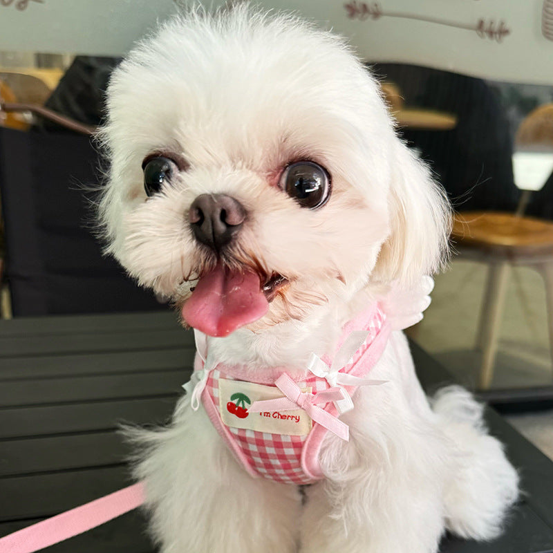 Corde de maintien de la main arrière de l'animal Petit chien