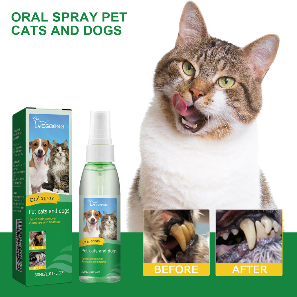Vaporisateur de nettoyage des dents pour animaux de compagnie