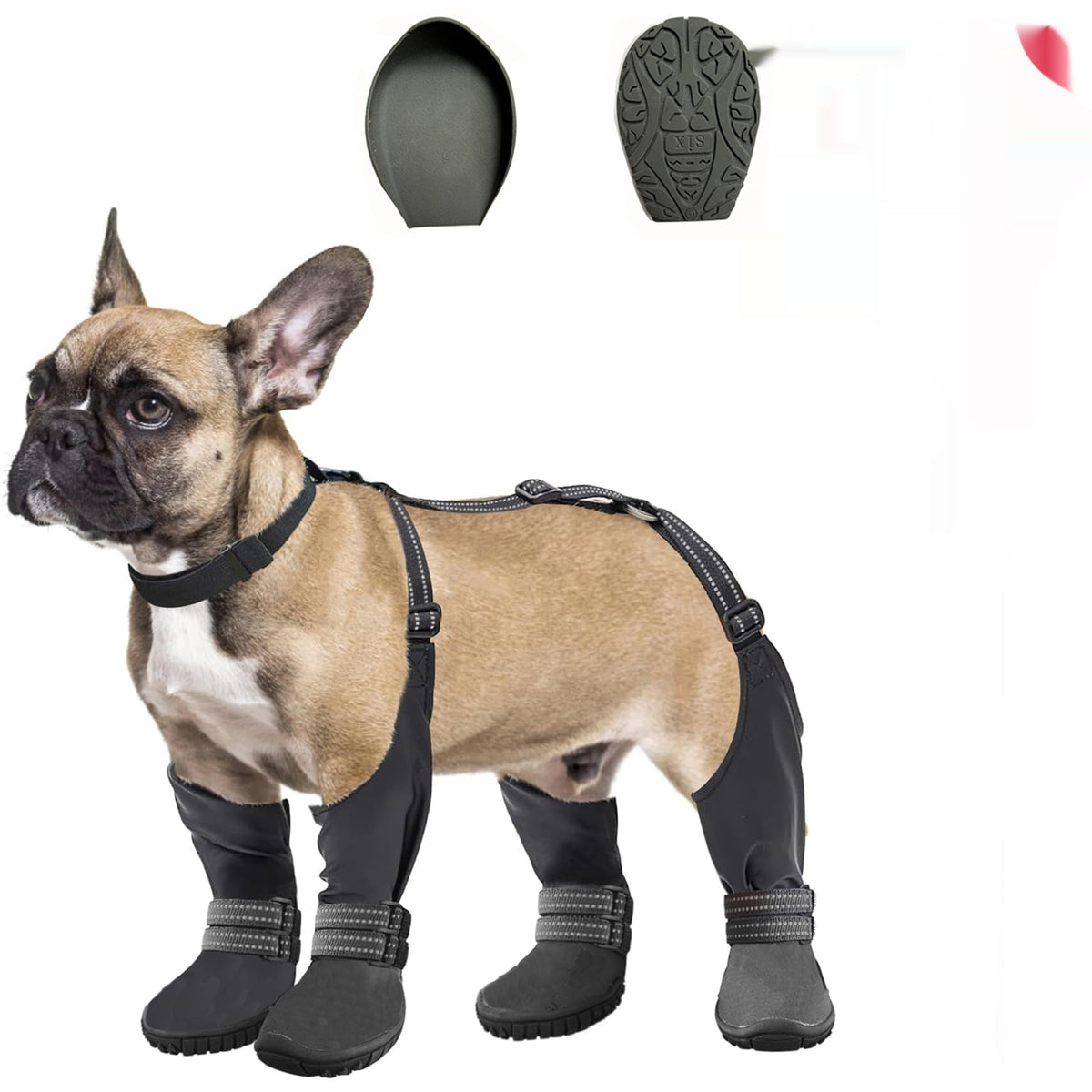 Accessoires pour animaux de compagnie Chaussures de chien imperméables non glissantes