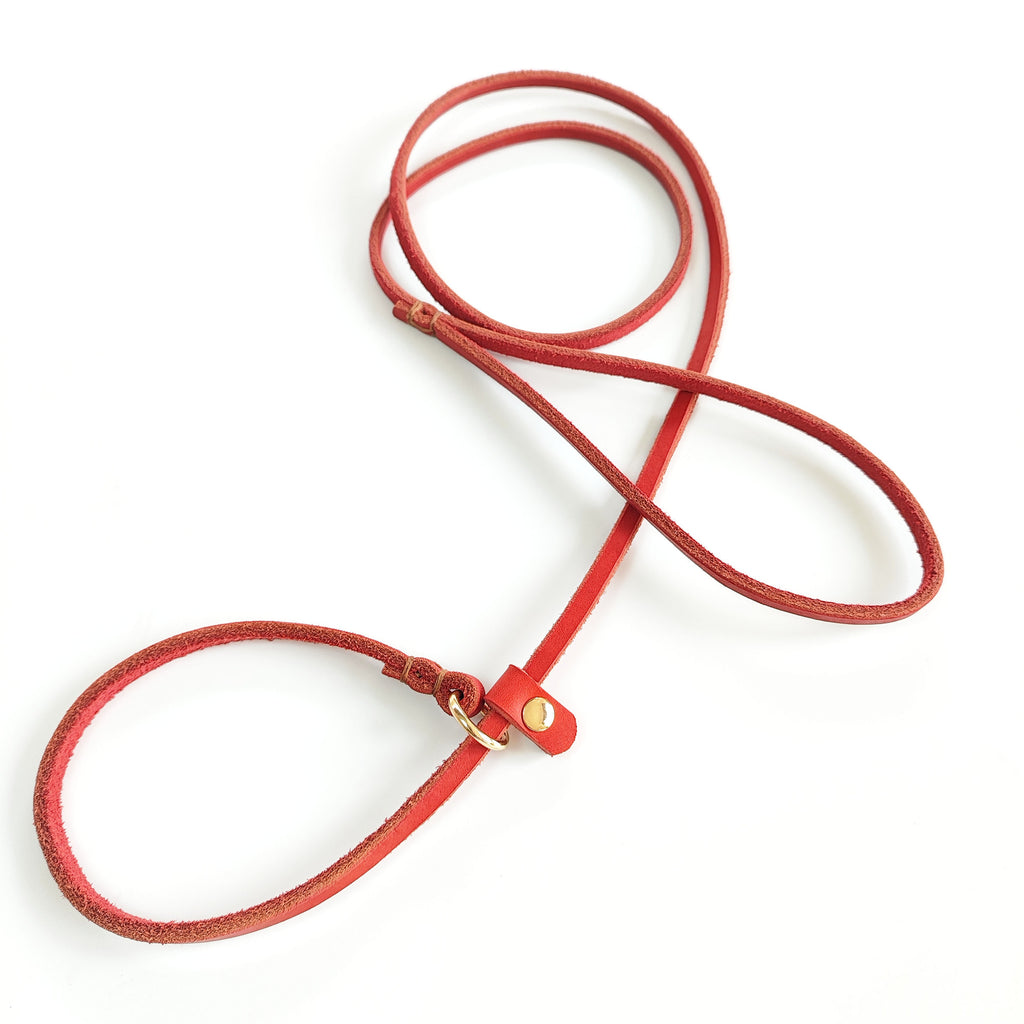 En cuir véritable tressé corde Cowhide chien laisse Pet entraînement laisse