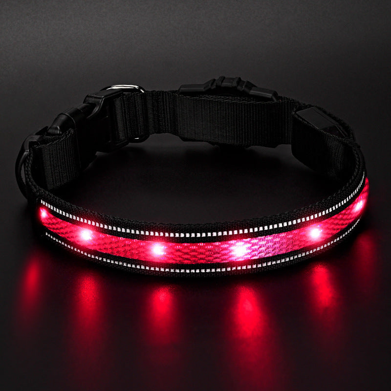 Collier de chien de Glowing imperméable rechargeable