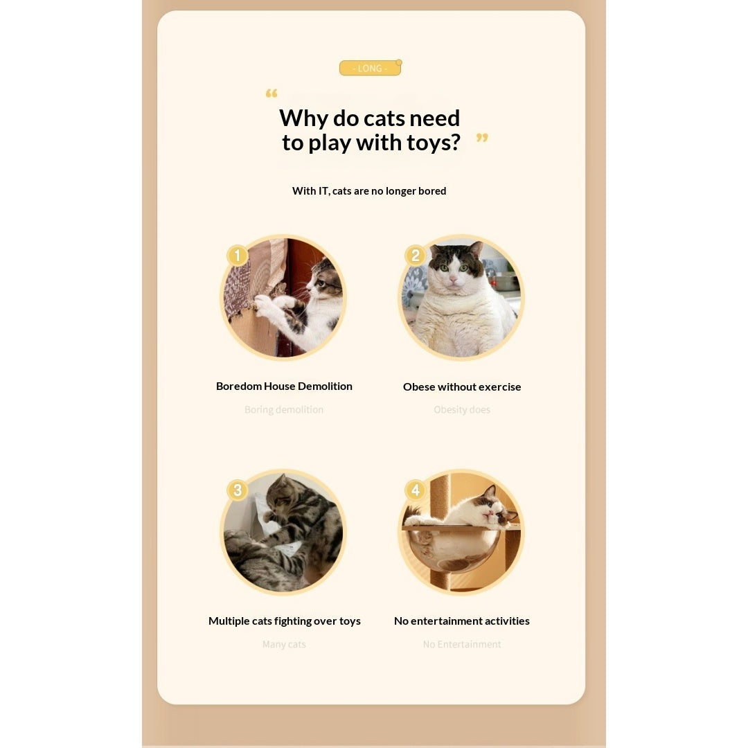 Jouet électrique interactif pour chat