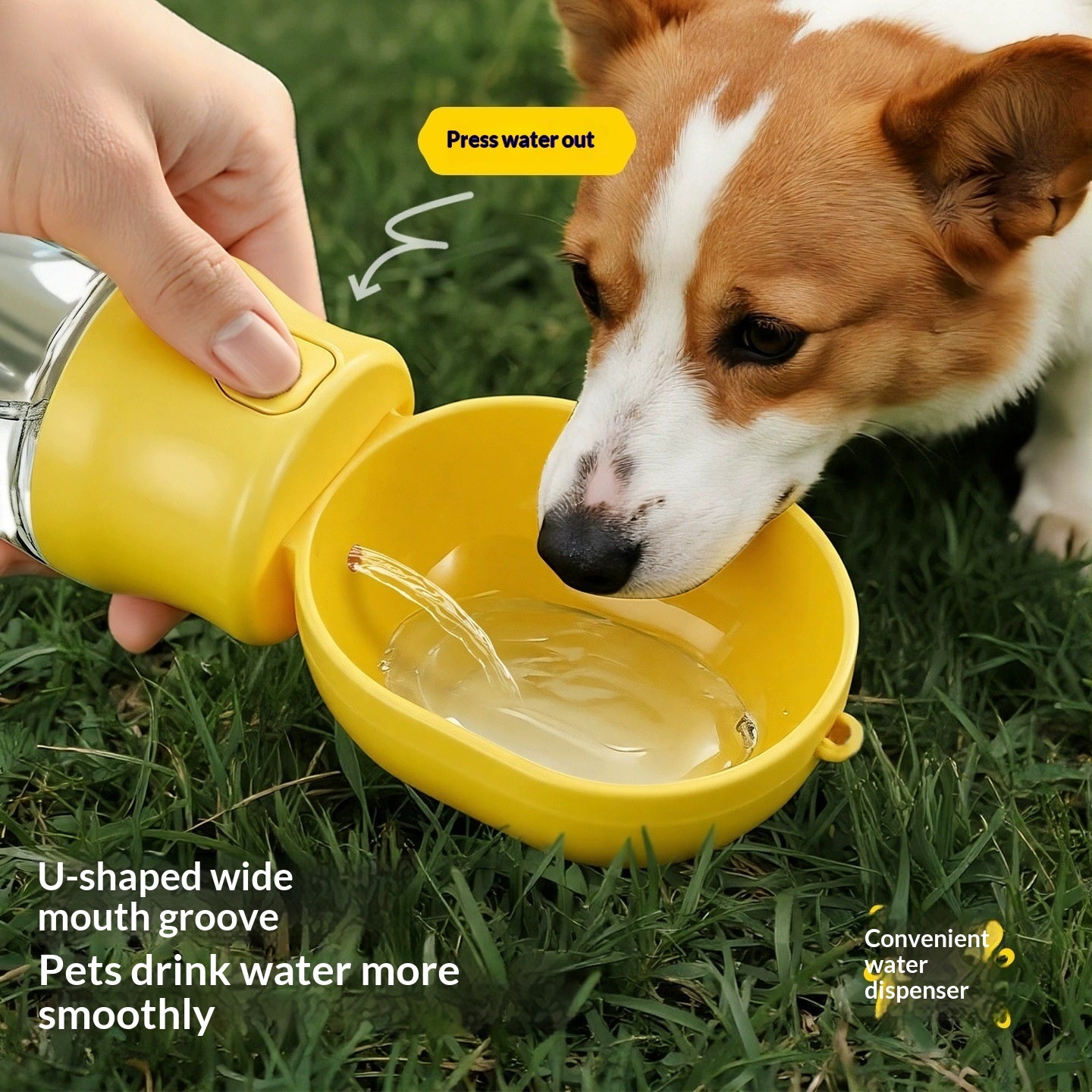Distributeur d'eau portable pour animaux de compagnie pour les sorties
