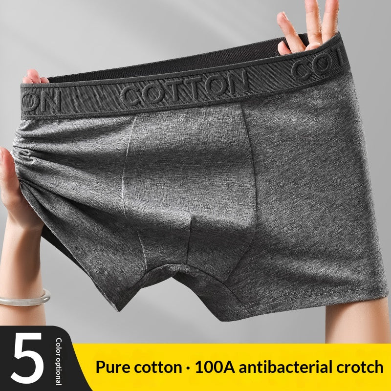 Boxer en coton antibactérien haut de gamme pour hommes