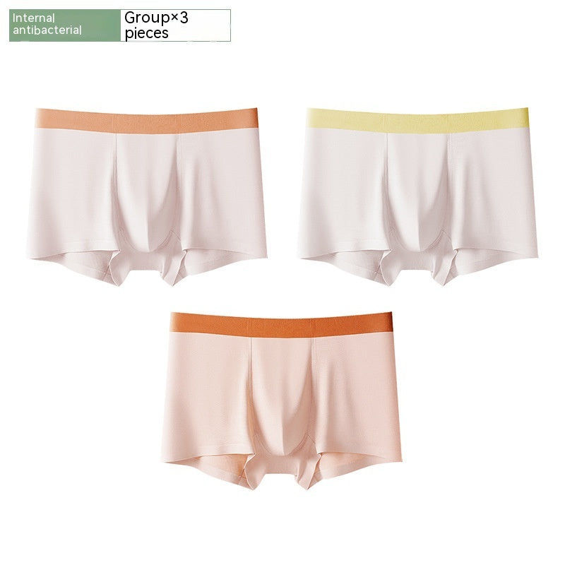 Short antibactérien sans couture