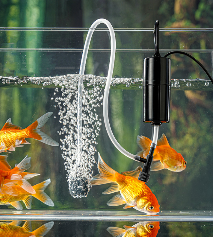 Pompe portative de réservoir de poisson USB à oxygène