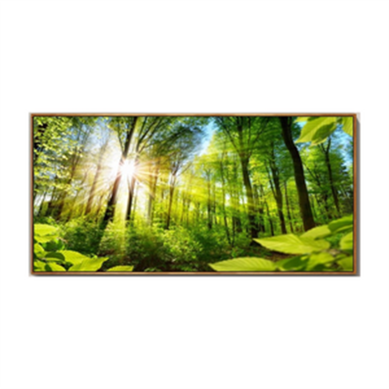 Forêt naturelle mur d'art photos toile peinture