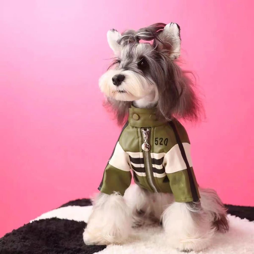 Dog Automnehiver Vêtements Veste de moto manteau