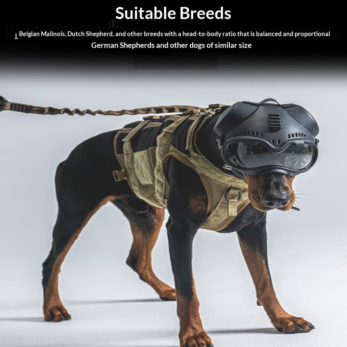 K9 Tactical Canine Head Masque d'entraînement Gants Protection Visage Bouclier