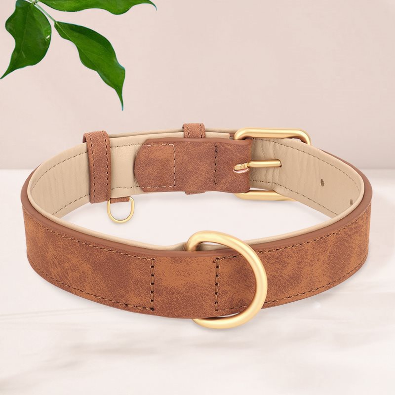 Collier de chien en cuir double couche créatif et polyvalent